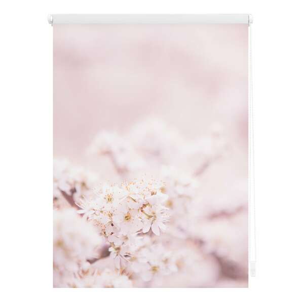 Bild 1 von Lichtblick Rollo Klemmfix, ohne Bohren, Verdunkelung, Kirschblüten - Rosa Weiß