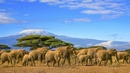 Bild 1 von Tansania & Kenia - Rundreise & Badeaufenthalt