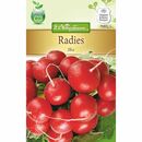 Bild 1 von Radies Ilka