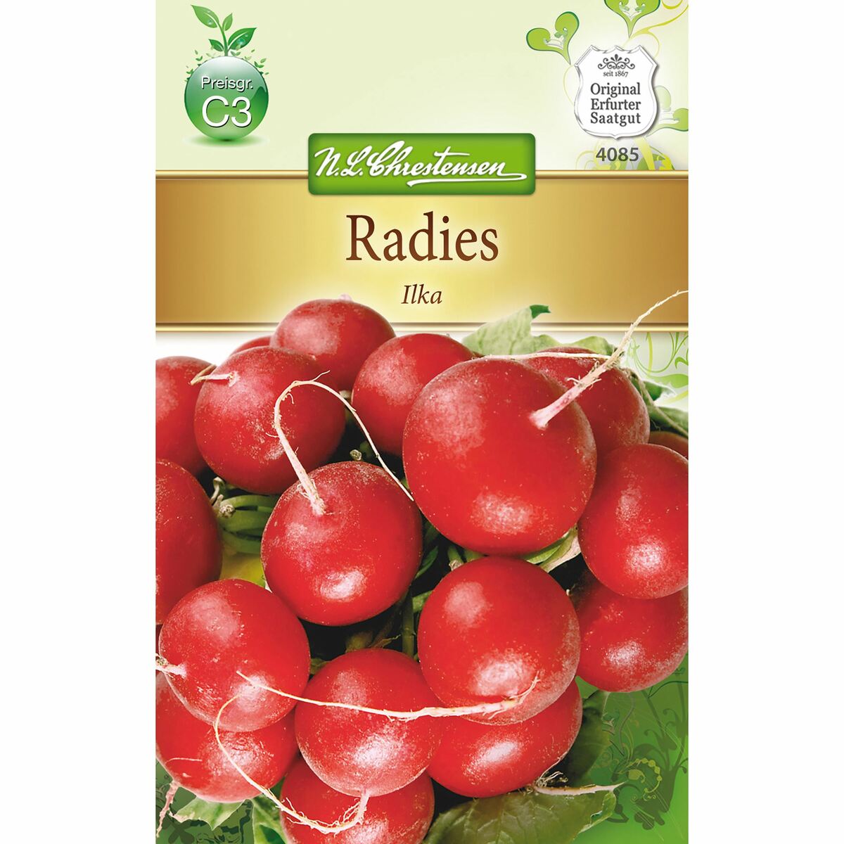 Bild 1 von Radies Ilka