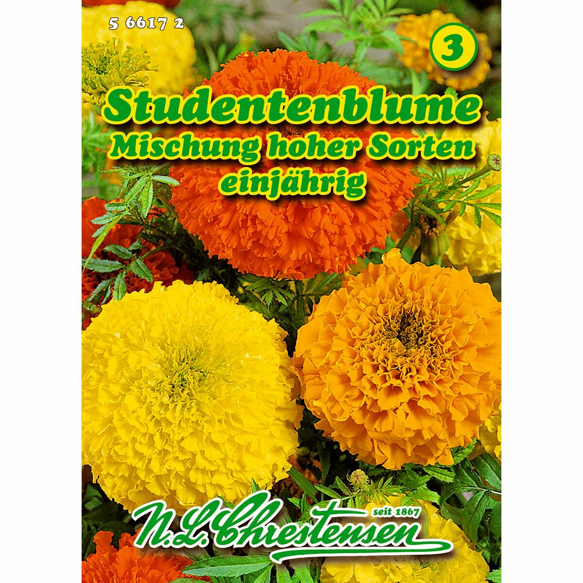 Bild 1 von Tagetes, Studentenblume, Mischung hoher Sorten