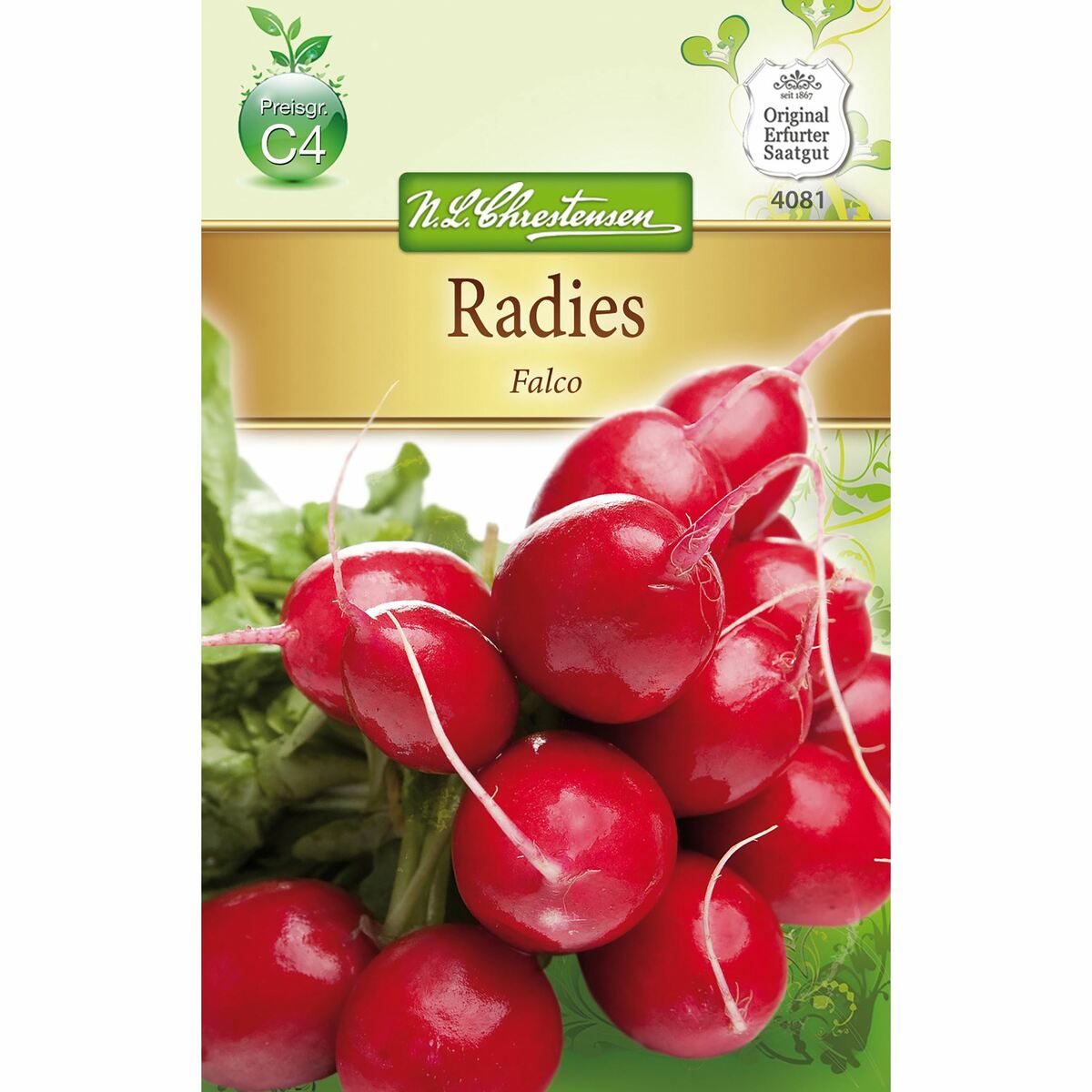 Bild 1 von Radies Falco