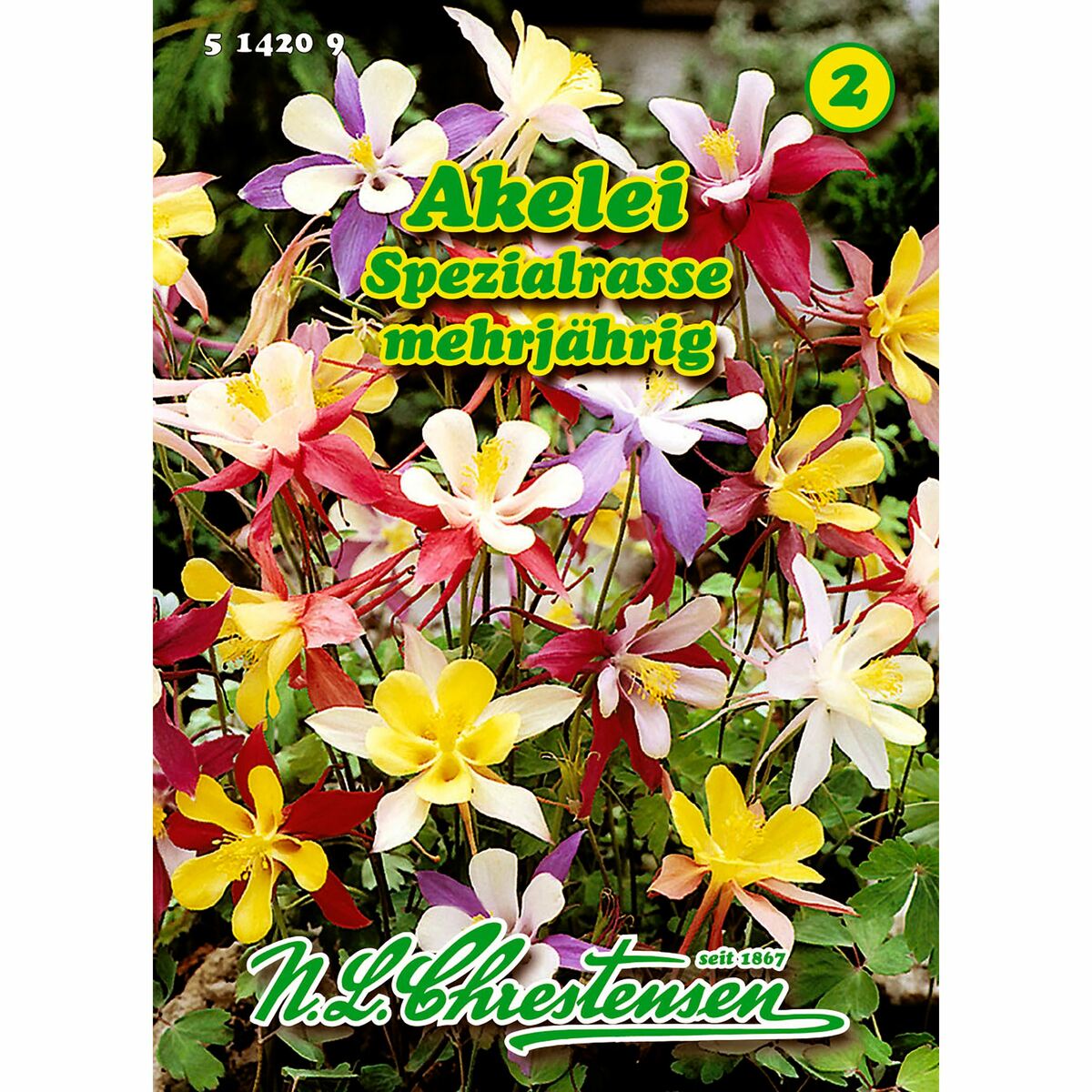 Bild 1 von Aquilegia, Akelei, Spezialrasse, Mischung