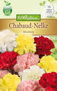 Bild 1 von Dianthus caryophyllus Chabaud-Nelken, Mischung