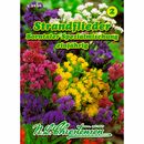 Bild 1 von Limonium sinuatum, Strandflieder, Mischung