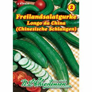 Freilandsalatgurke, Chinese Slangen