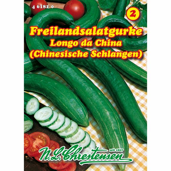 Bild 1 von Freilandsalatgurke, Chinese Slangen