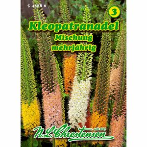 Eremurus, Kleopatranadel, Mischung