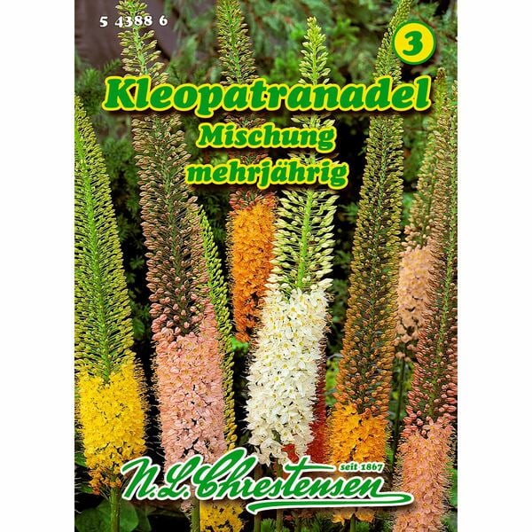 Bild 1 von Eremurus, Kleopatranadel, Mischung