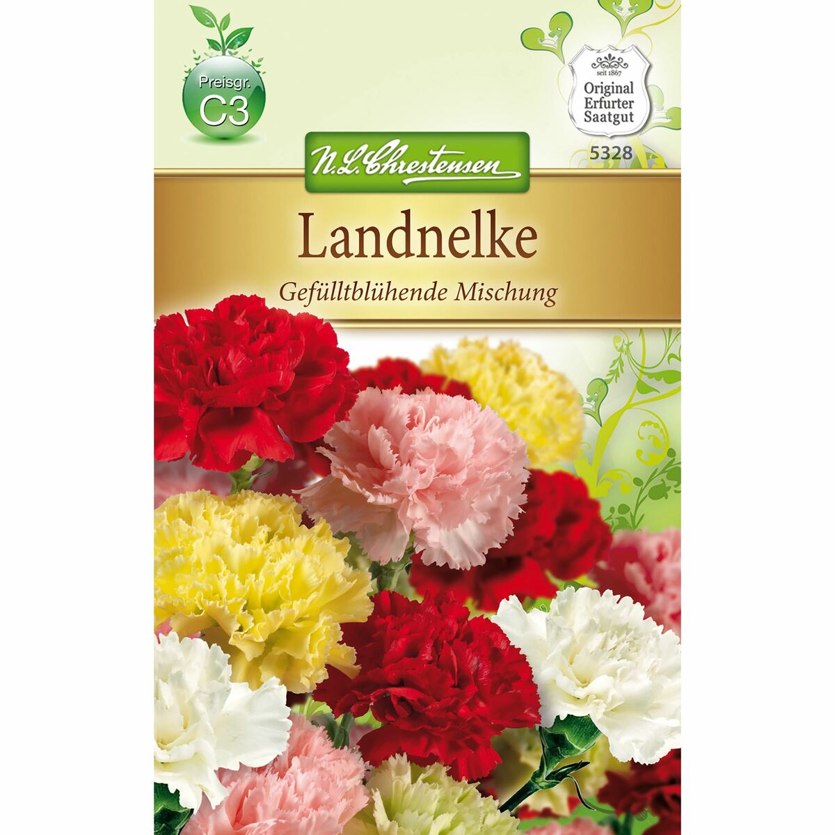 Bild 1 von Dianthus caryophyllus Landnelken, gefüllte, Mischung