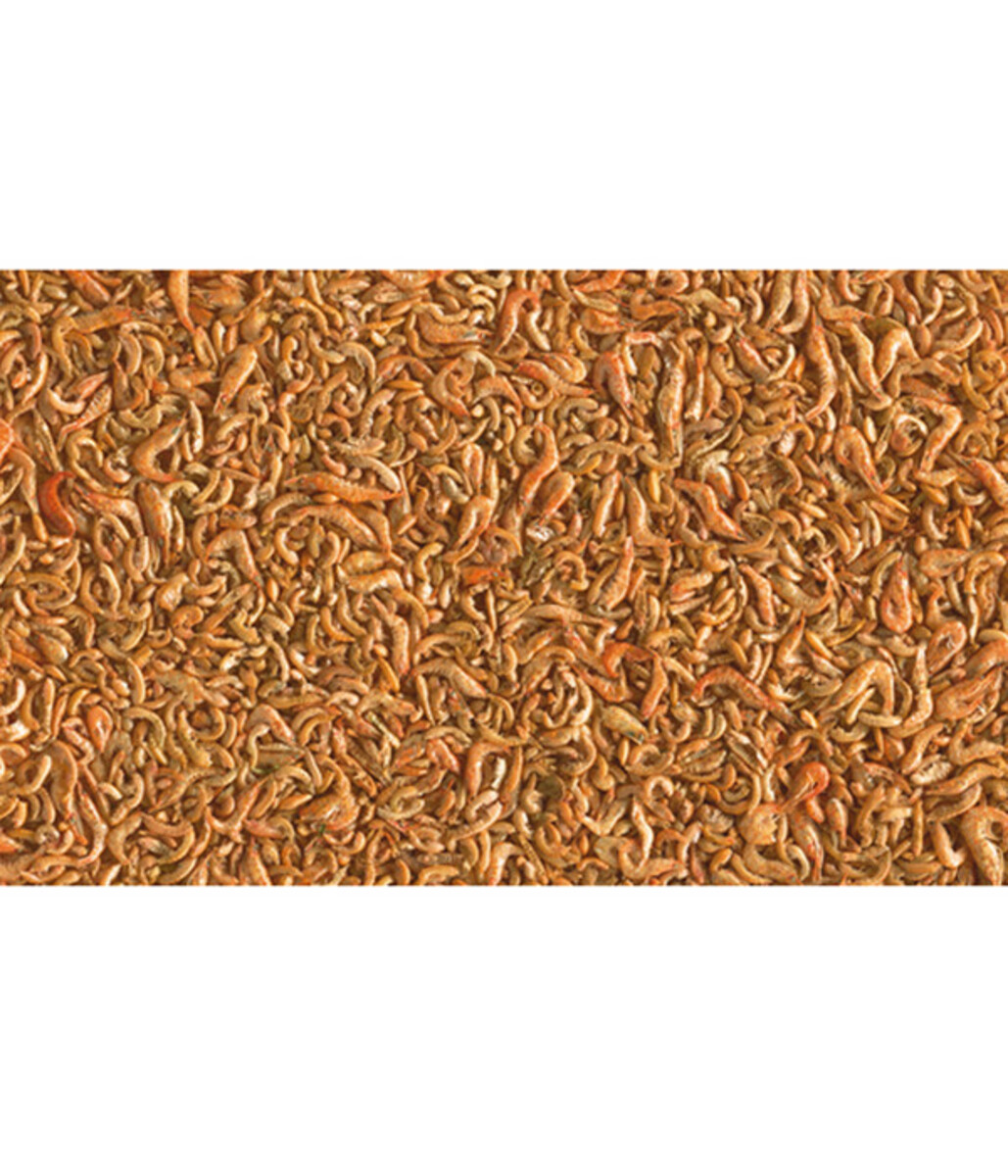 Bild 2 von Tetra Pond Teichfischsnack Shrimp Mix