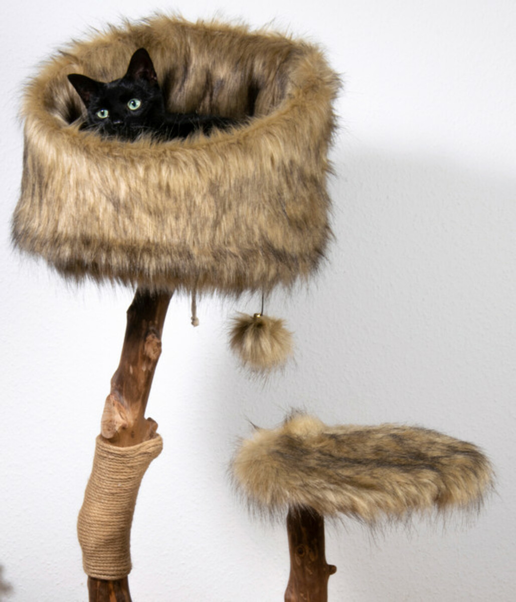 Bild 2 von Dobar petlife Design-Katzenmöbel Sunny, ca. B50/H109/T40 cm