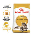 Bild 3 von ROYAL CANIN® Trockenfutter für Katzen Maine Coon Adult