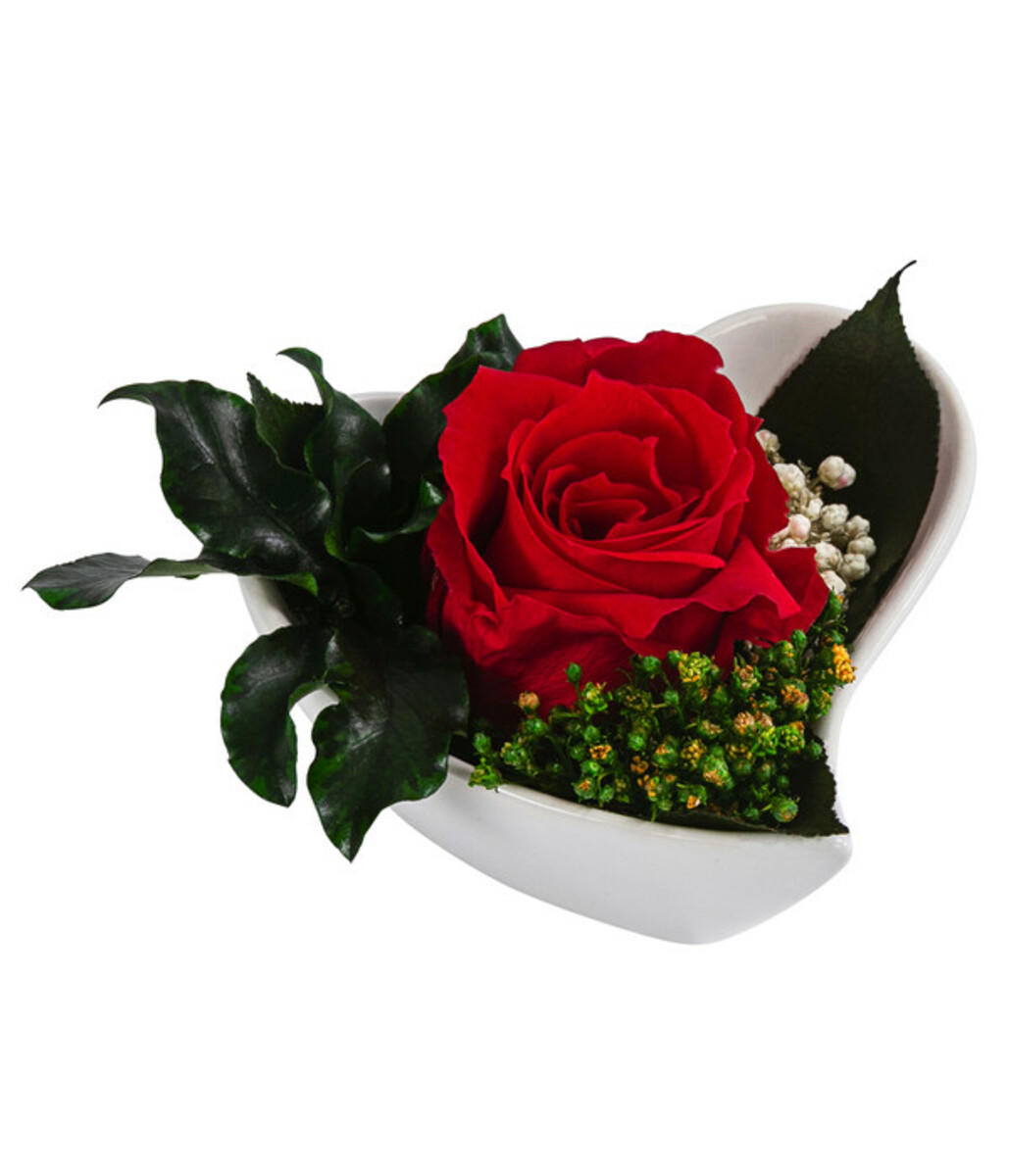 Bild 1 von Dehner Herzschale mit Longlife-Rose Aneta, ca. B8/H5 cm