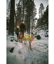 Bild 2 von RUFFWEAR® Hundeweste Lumenglow™ Hi-Vis