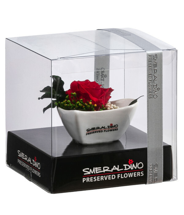 Bild 2 von Dehner Herzschale mit Longlife-Rose Aneta, ca. B8/H5 cm