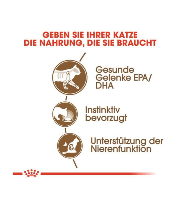 Bild 3 von ROYAL CANIN® Nassfutter für Katzen Ageing 12+, 12 x 85 g