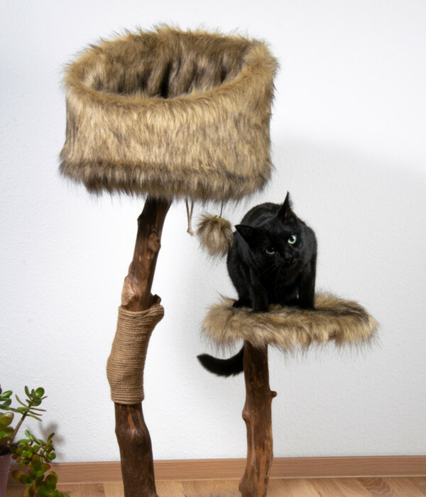 Bild 3 von Dobar petlife Design-Katzenmöbel Sunny, ca. B50/H109/T40 cm