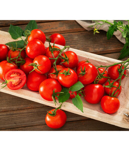 Resistente Tomate, rundfruchtig