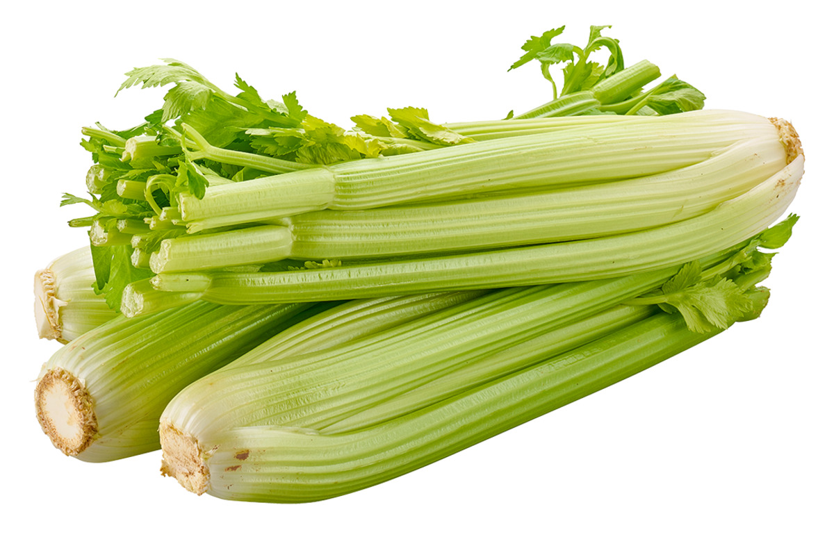 Bild 1 von Stangensellerie