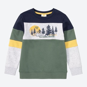 Kinder-Jungen-Sweatshirt mit Outdoor-Motiv