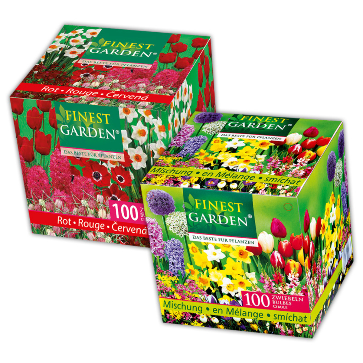 Bild 1 von Finest Garden Blumenzwiebeln