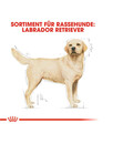 Bild 2 von ROYAL CANIN® Trockenfutter für Hunde Labrador Retriever Adult