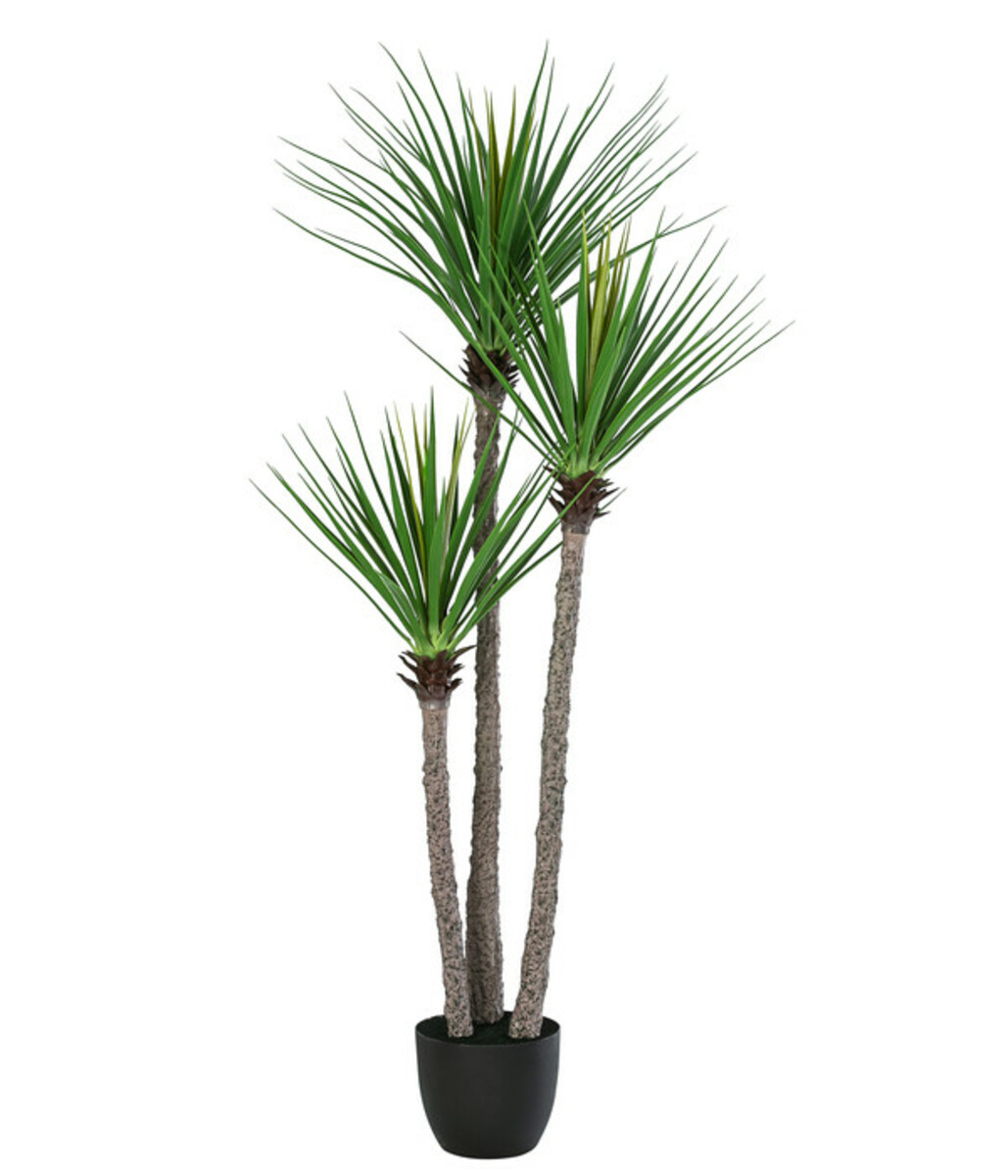 Bild 1 von Dehner Kunstpflanze Yuccapalme
