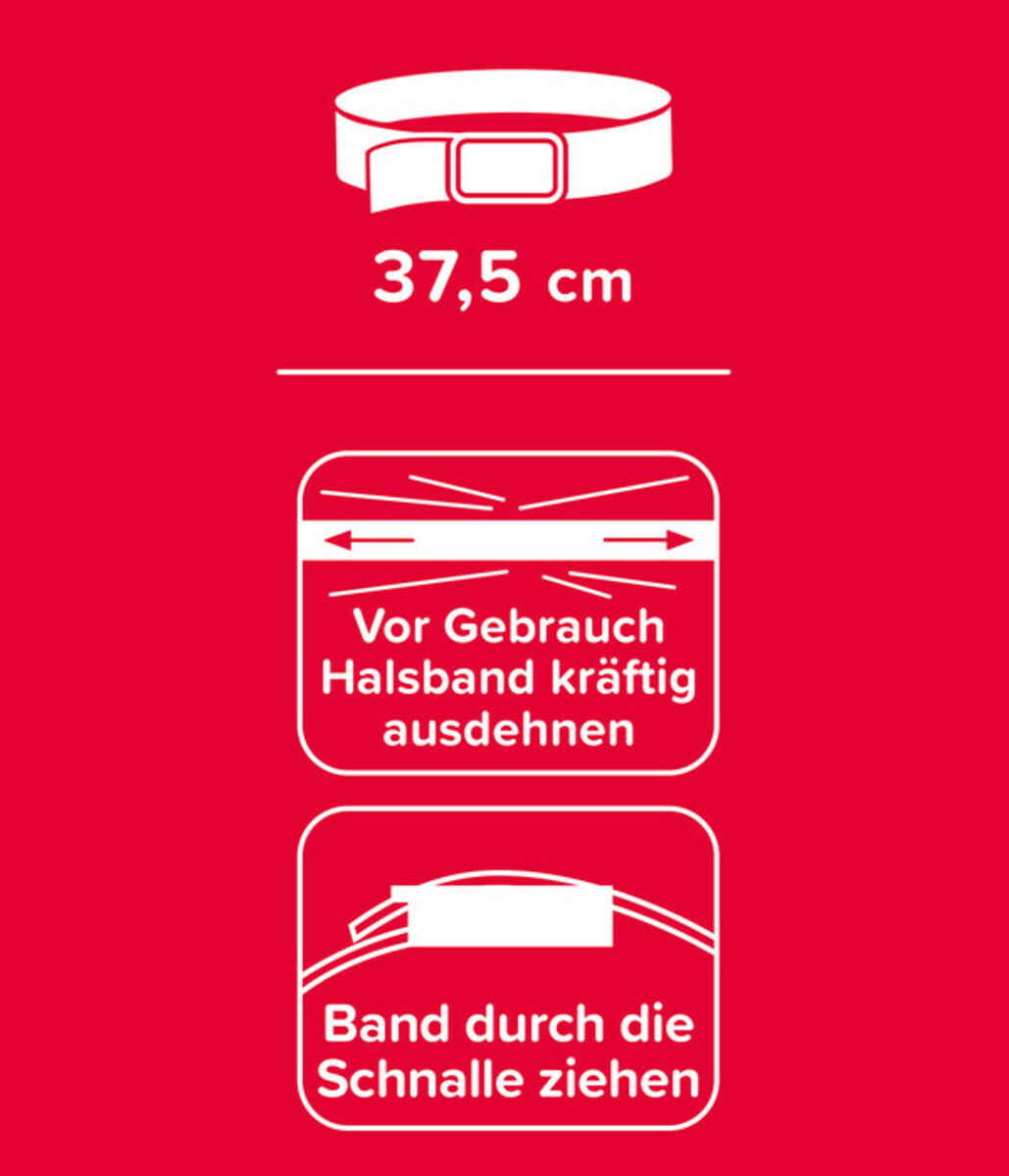 Bild 2 von beaphar Zecken-Flohband für Katzen, 35 cm