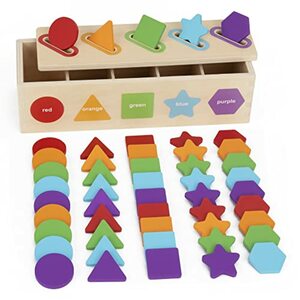 Montessori Spielzeug 1 2 3 Jahre | Farbsortierung & Stapeln Passende Spielzeuge | Lernsortierspielzeug für Kleinkinder von 1-3 Jahren | Lernspielzeug als Geschenk für 2 jährige Jungen und Mädchen