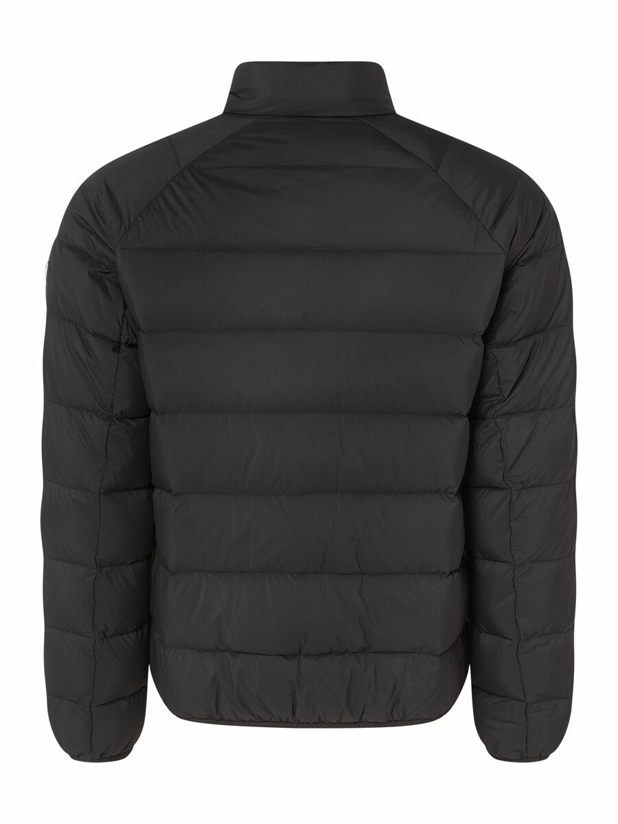 Bild 3 von Tommy Jeans Steppjacke TJM LIGHT DOWN JACKET mit Logostickerei