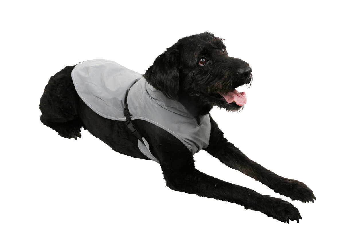 Bild 1 von Voll reflektierende Hundeweste 45cm Rückenlänge