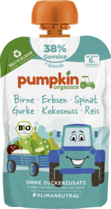 Pumpkin Organics Bio Gemüse-Frucht-Zubereitung aus Birne, Erbsen, Spinat, Gurke, Kokosnuss