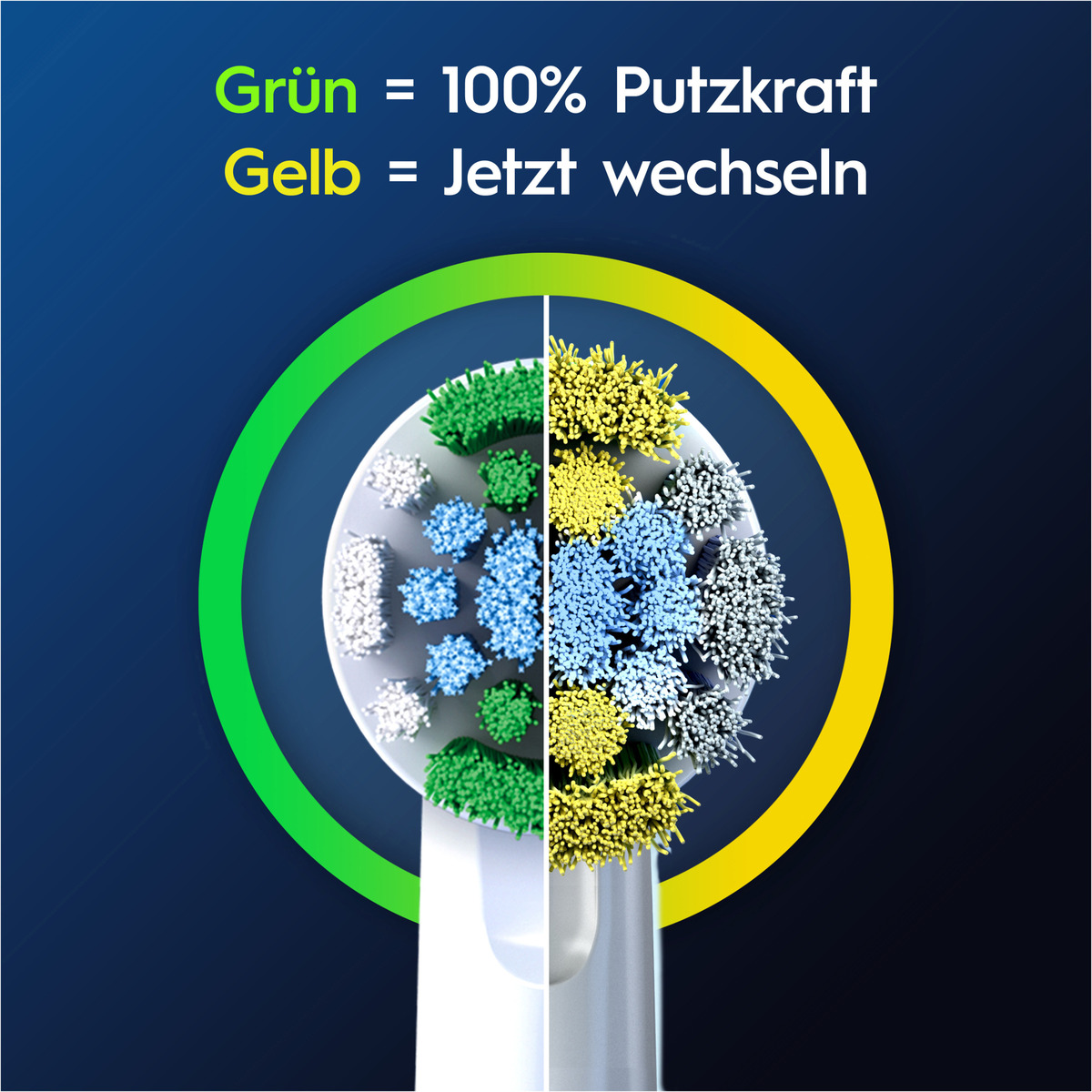 Bild 4 von Oral-B Aufsteckbürsten Pro Precision Clean