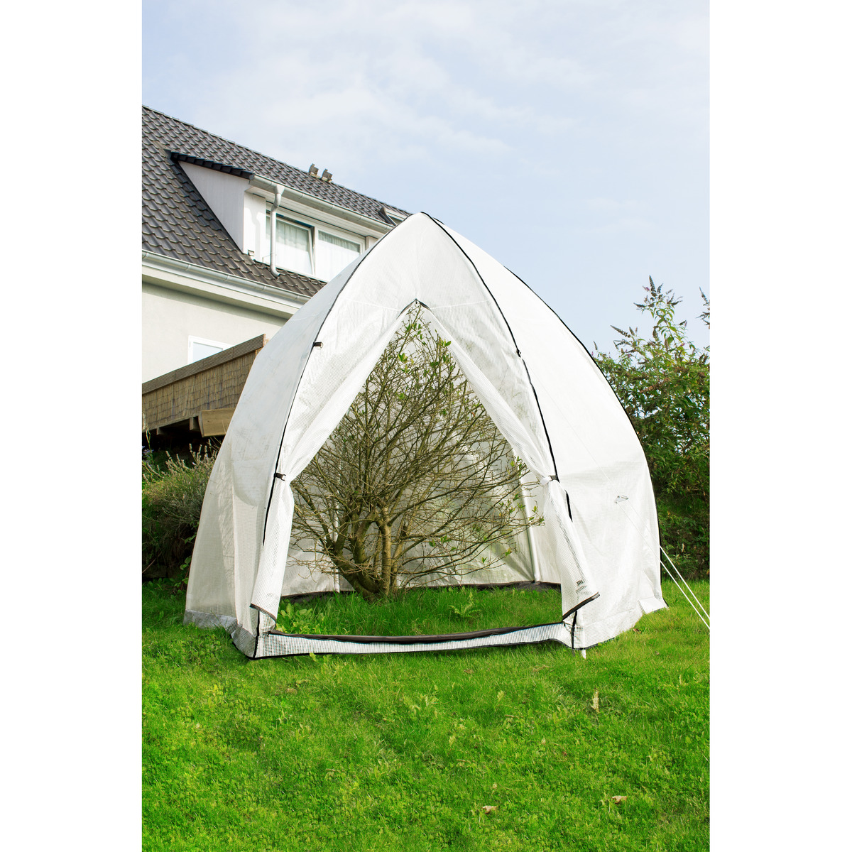 Bild 1 von Pergart Pflanzenzelt 'Hawaii' weiß Ø 340 x 280 cm