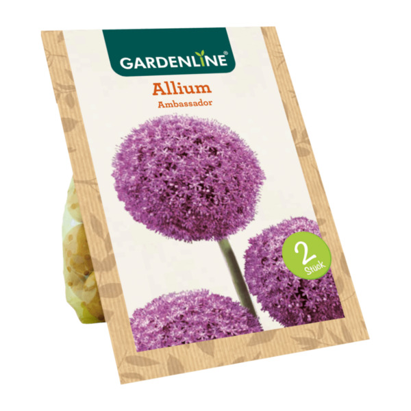 Bild 2 von GARDENLINE Blumenzwiebeln Zierlauch