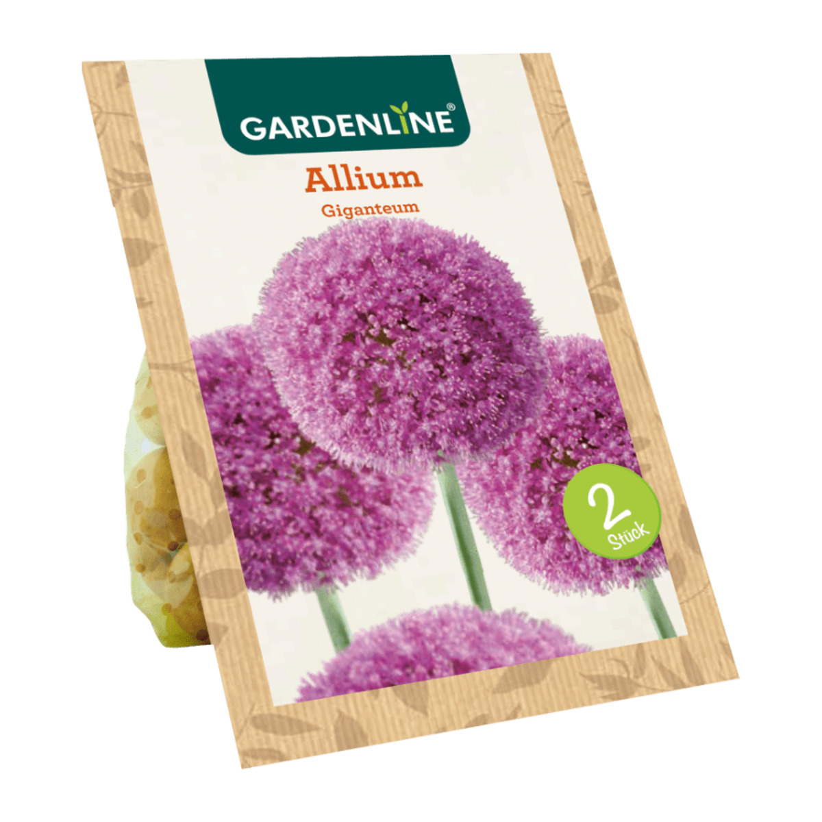 Bild 4 von GARDENLINE Blumenzwiebeln Zierlauch