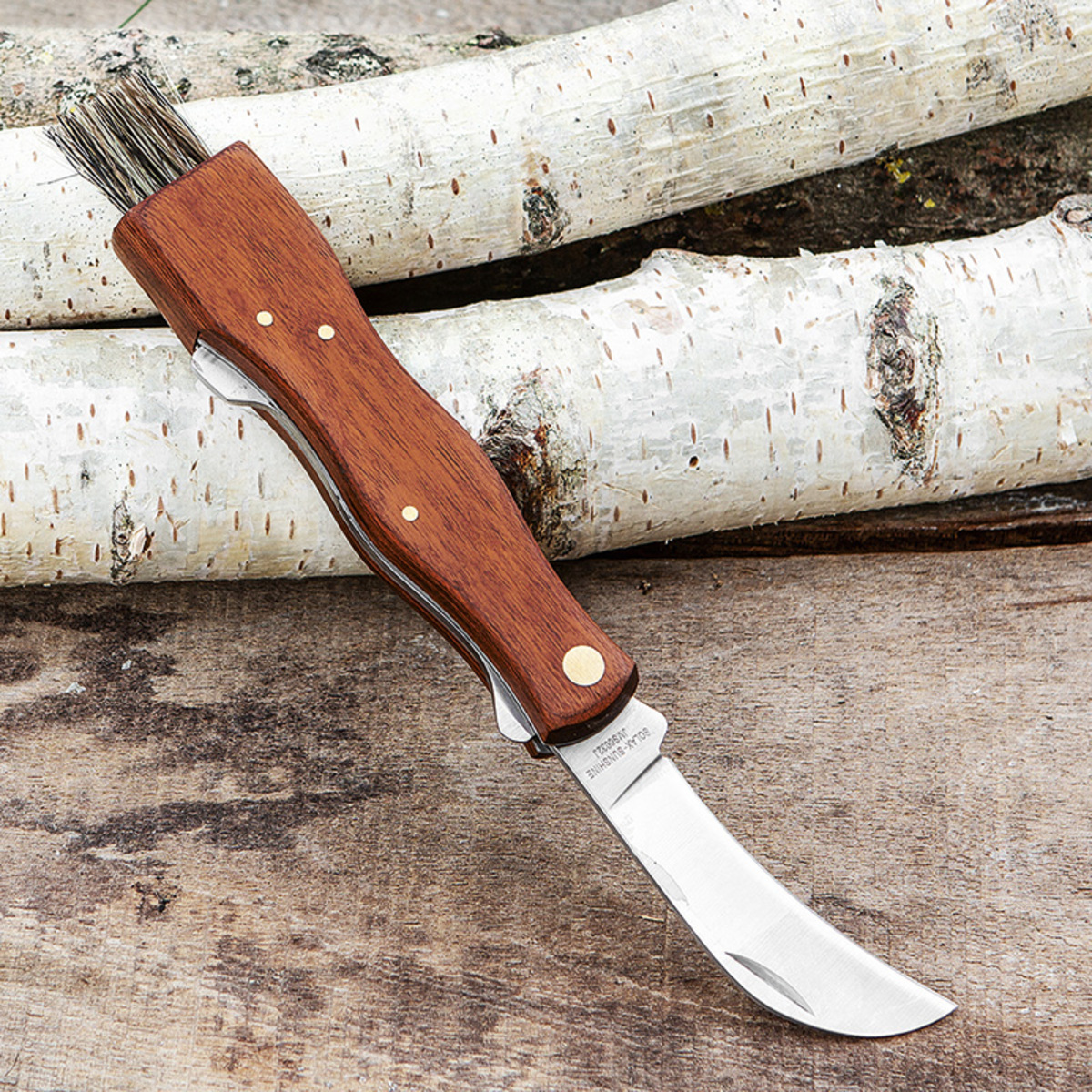 Bild 1 von Solax Sunshine Pilzmesser