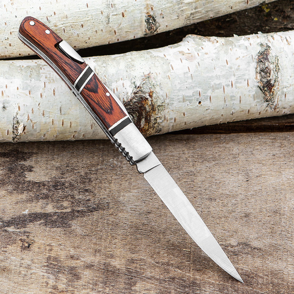 Bild 1 von Solax Sunshine Klapp-/ Taschenmesser