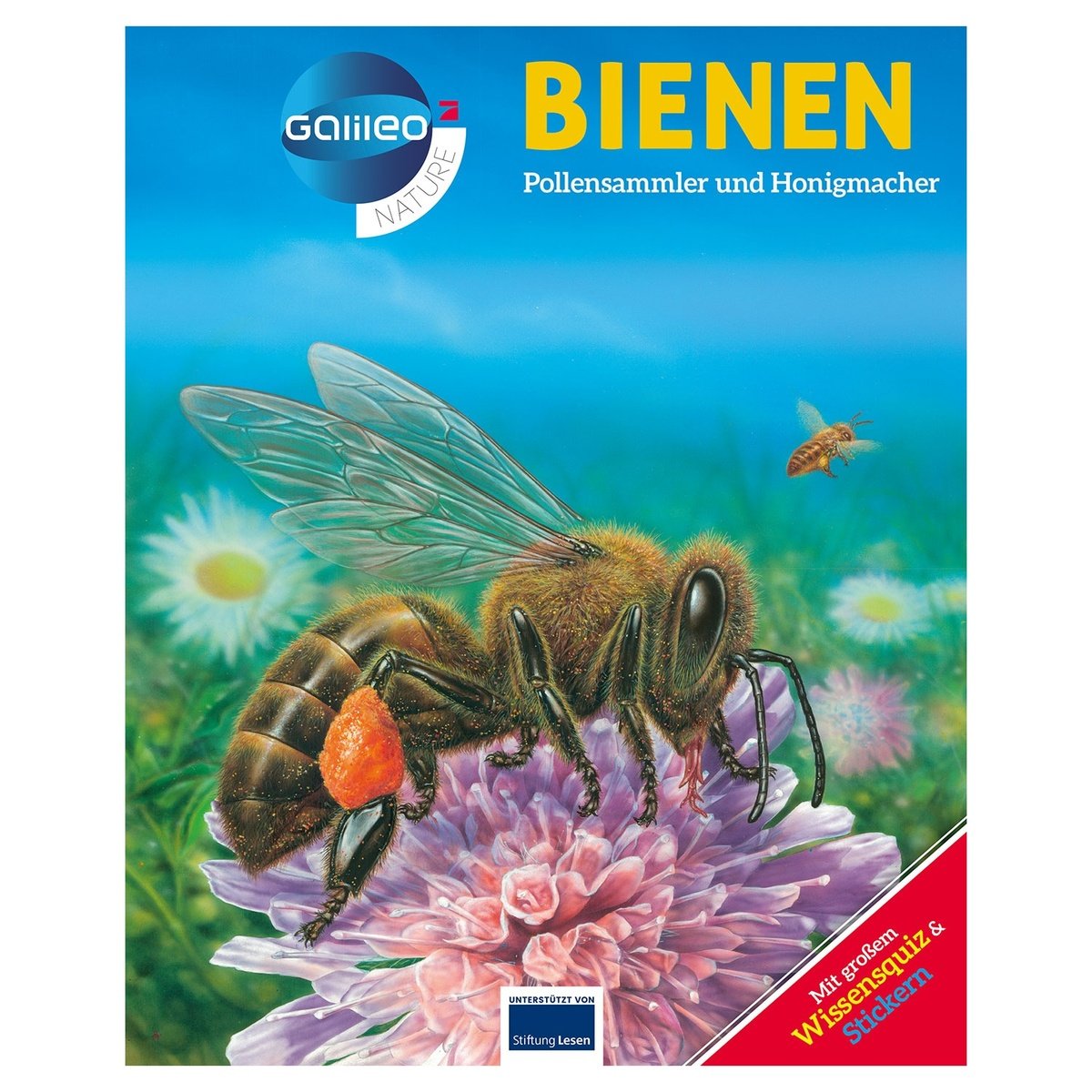 Bild 4 von Galileo Wissen