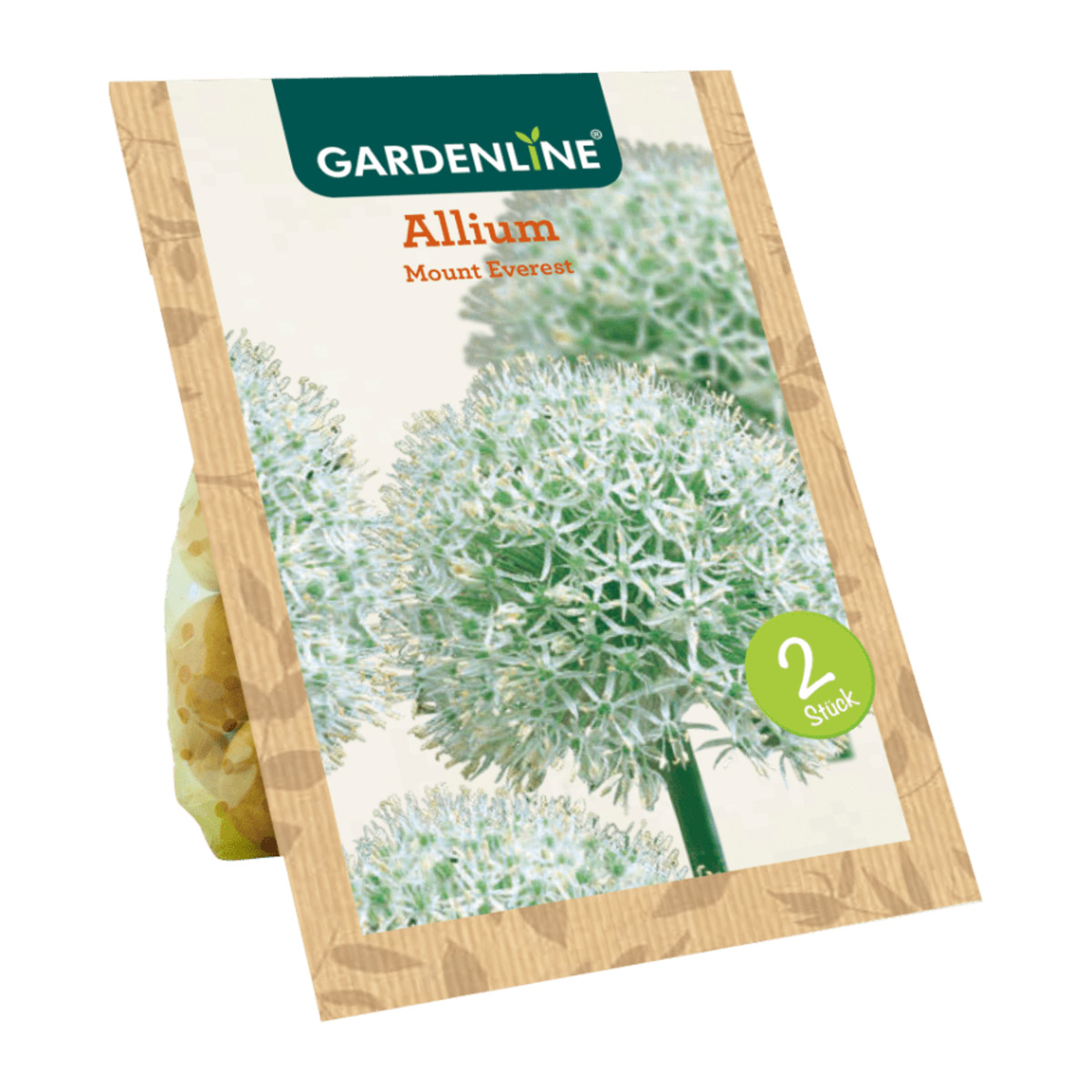 Bild 3 von GARDENLINE Blumenzwiebeln Zierlauch