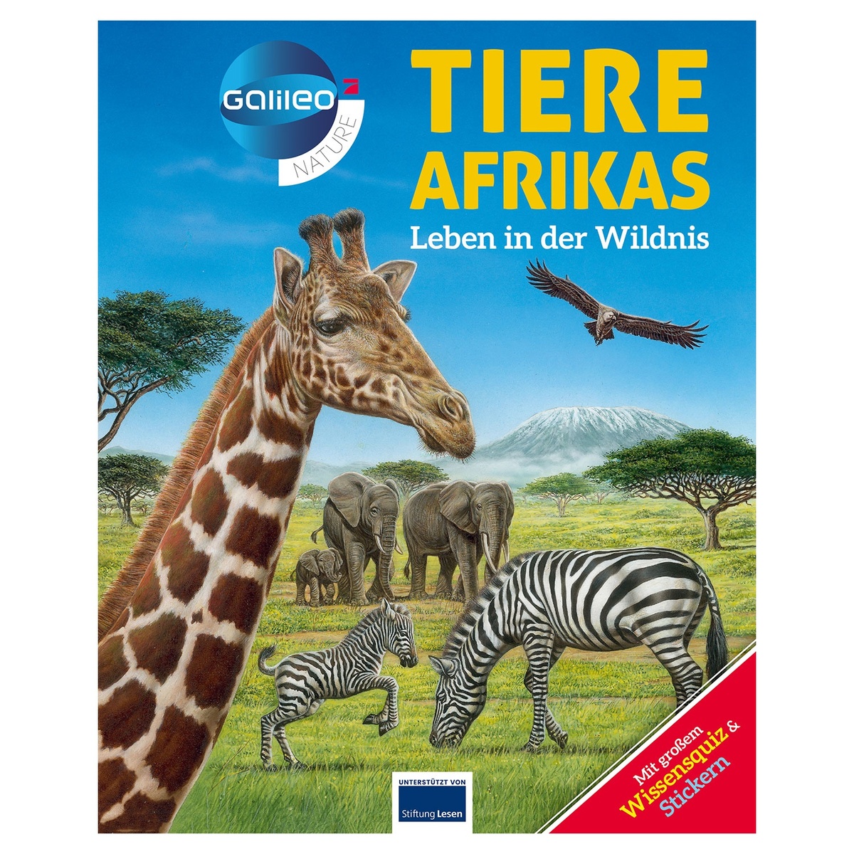 Bild 3 von Galileo Wissen
