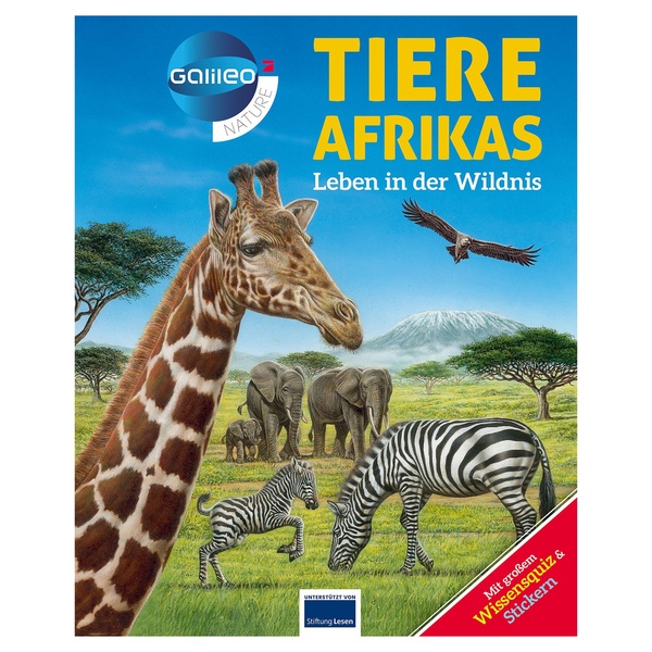 Bild 3 von Galileo Wissen