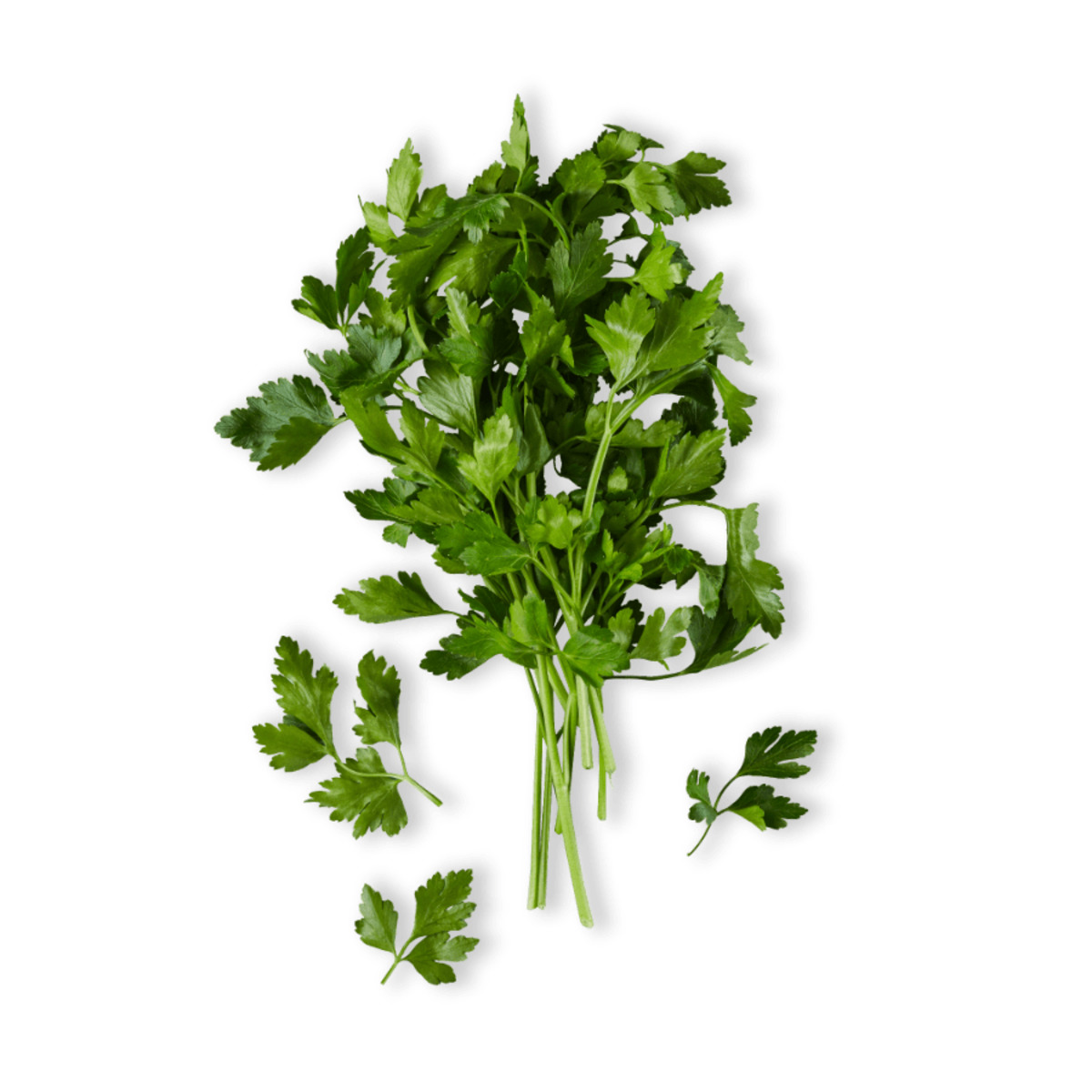 Bild 1 von Petersilie glatt