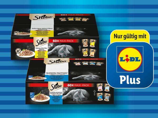 Bild 1 von Sheba Multipack