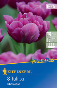 Kiepenkerl Blumenzwiebel Profi-Line Gefüllte frühe Tulpe Showcase, 8 Stück