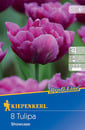 Bild 1 von Kiepenkerl Blumenzwiebel Profi-Line Gefüllte frühe Tulpe Showcase, 8 Stück