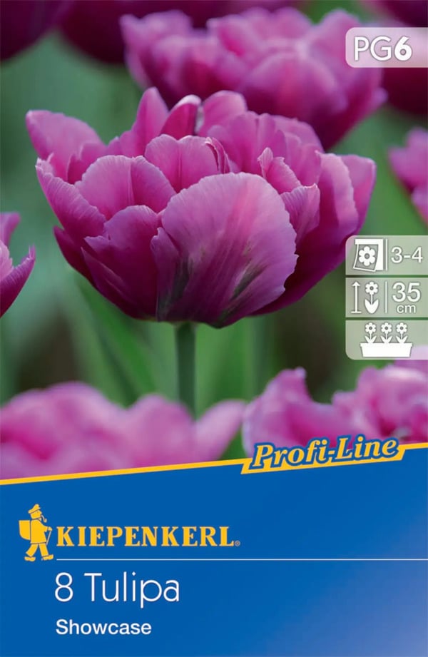 Bild 1 von Kiepenkerl Blumenzwiebel Profi-Line Gefüllte frühe Tulpe Showcase, 8 Stück