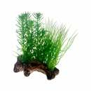 Bild 1 von Hobby Aquariumdekoration Flora Root 2 S: 17 cm