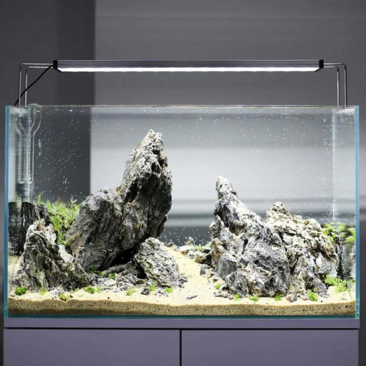 Bild 1 von TWINSTAR LED LIGHT II Adjustable Type CA 450CA